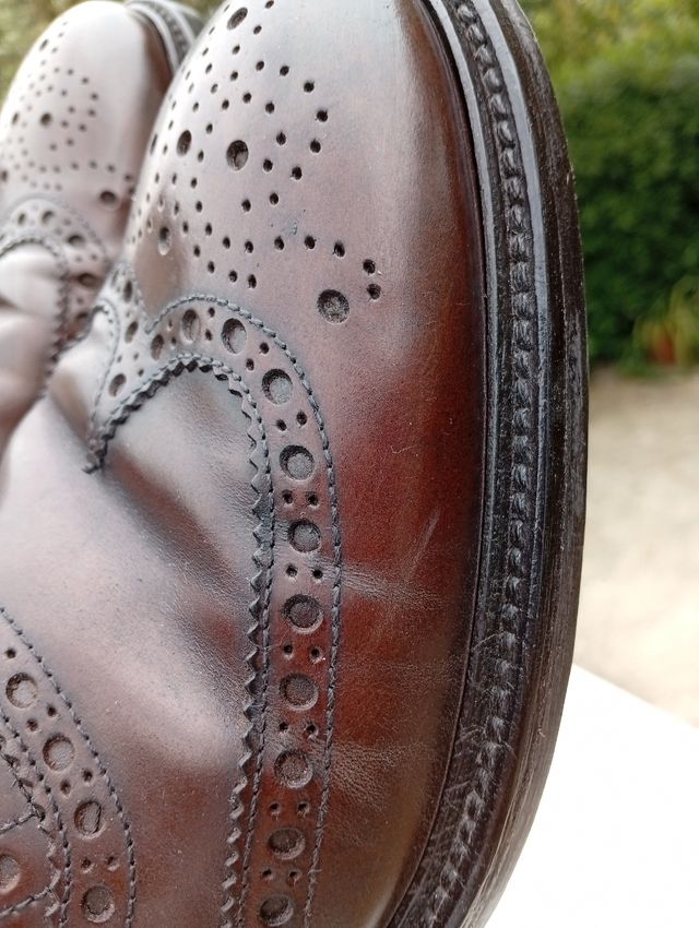 Scarpe Derby J. Wilton Marrone