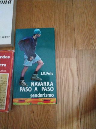 Historia de Pamplona y Estella.
