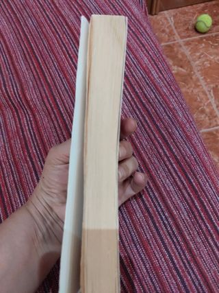 Flor del desierto: Su historia ha conmovido a m...