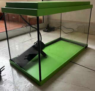 Pecera de 16L - Verde con filtro y luz