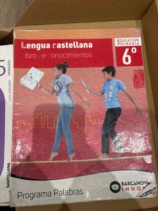 Palabras 6. Lengua castellana. Conocimientos