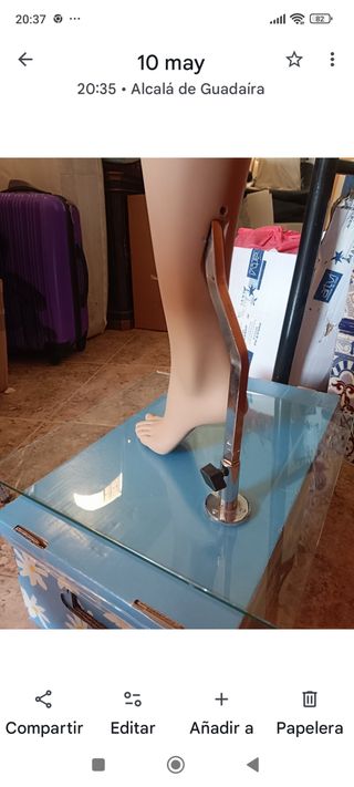 maniquí: 1 morena