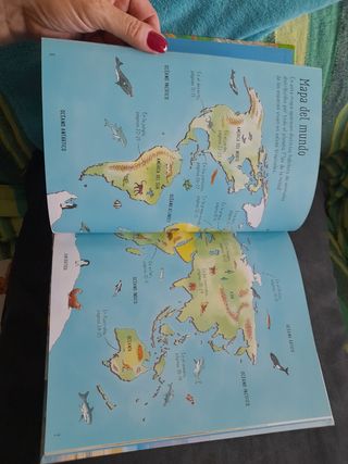 1001 animales que buscar