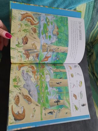 1001 animales que buscar