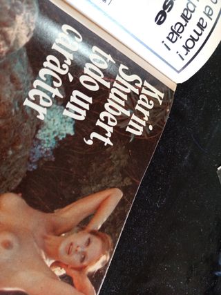 Interviú n°242 (1981)