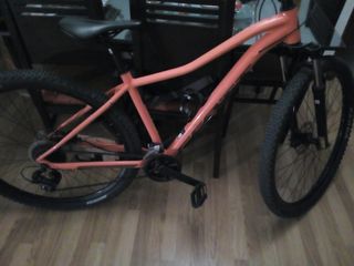 CANGA!!!  BICICLETA SCOTT CONTESA  29"