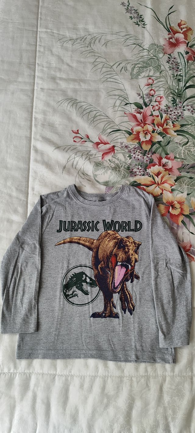 Lote 5 camisetas manga larga niño 5-6 años 116cm