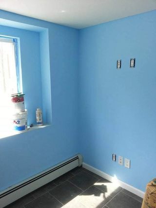 Pintor profesional 