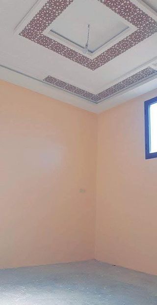 Pintor profesional 