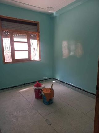Pintor profesional 