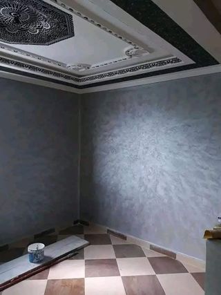 Pintor profesional 