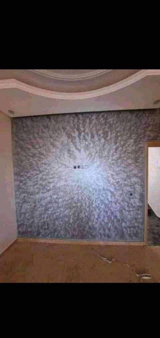 Pintor profesional 