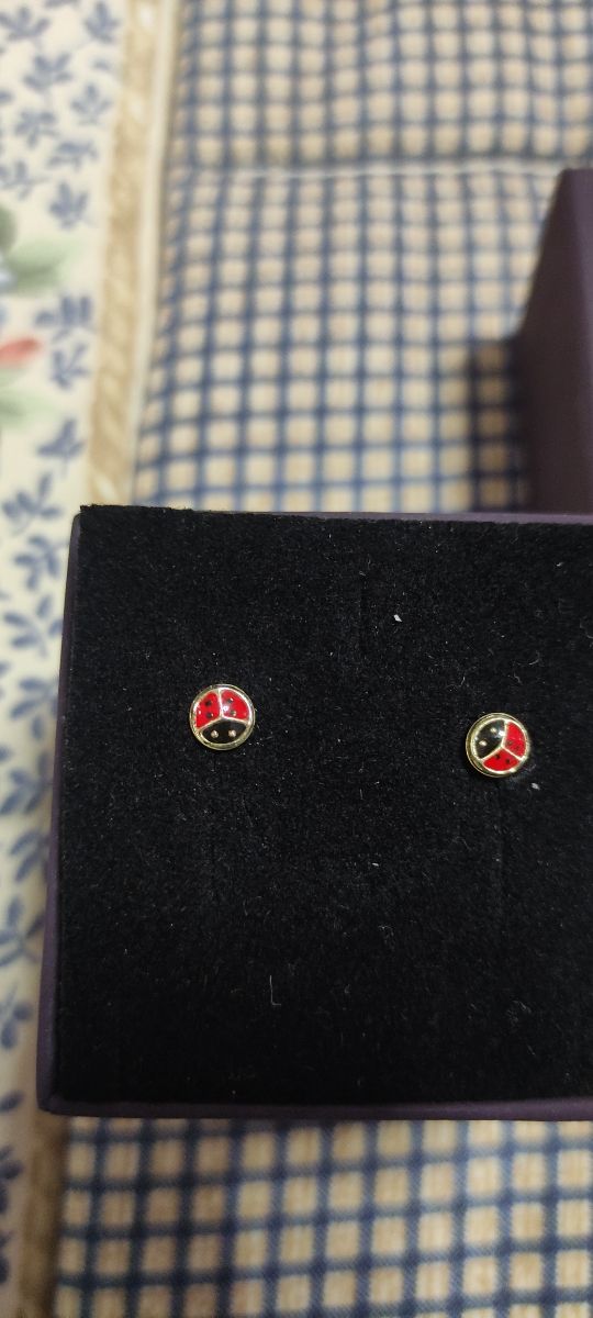 Orecchini coccinelle