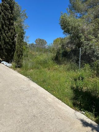 Jardinero económico