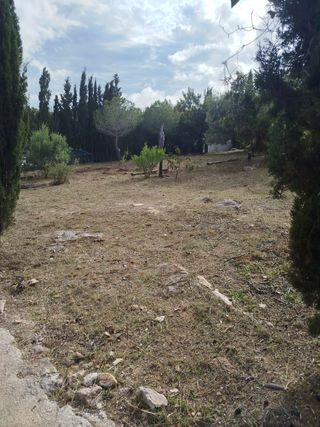 Jardinero económico