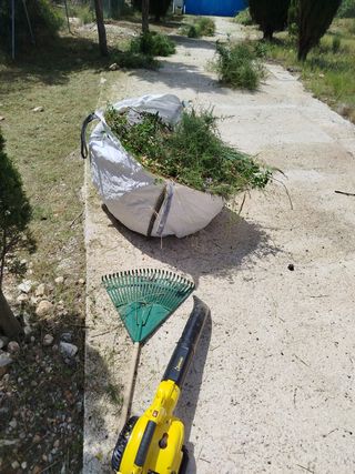 Jardinero económico