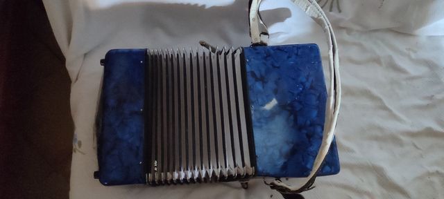 Fisarmonica Comet 48 bassi prezzo trattabile