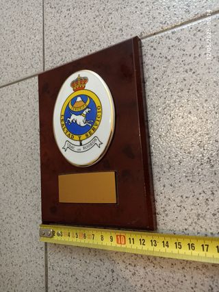 Metopa militar Tenerife USAC Los Rodeos