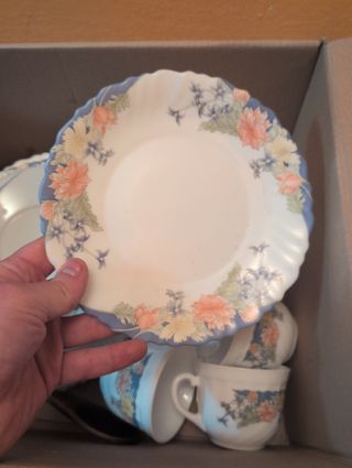 Vajilla porcelana 15 piezas
