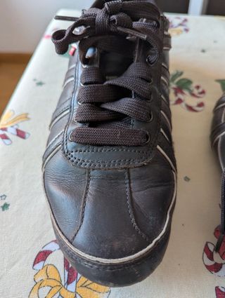 Zapatos Levis marrones. Talla 42