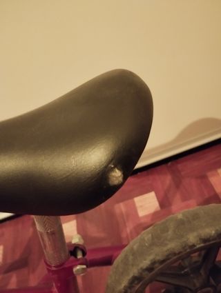 Bicicleta sin pedales chico