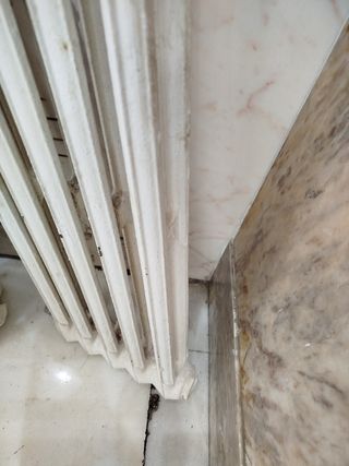 Radiador hierro fundido