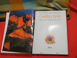 Castilla y León: Paisaje, arte, historia y tradic