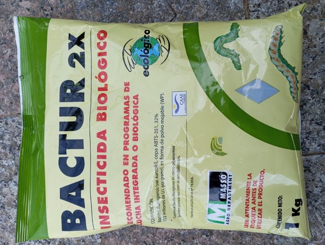 BACILLUS thuringiensis