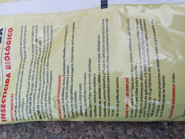 BACILLUS thuringiensis