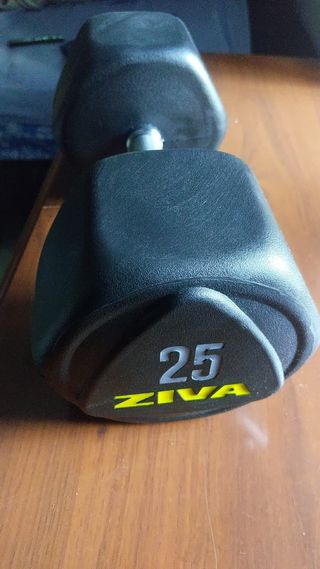 Mancuernas ZIVA 25kg - Fitness