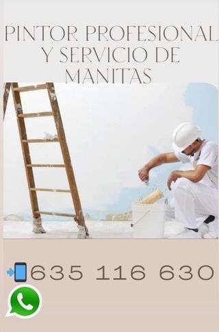 PINTOR PROFESIONAL 