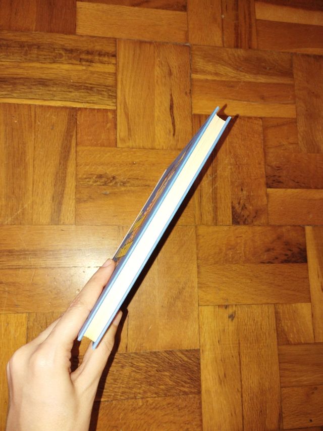 Libro Periquin y Gustavin