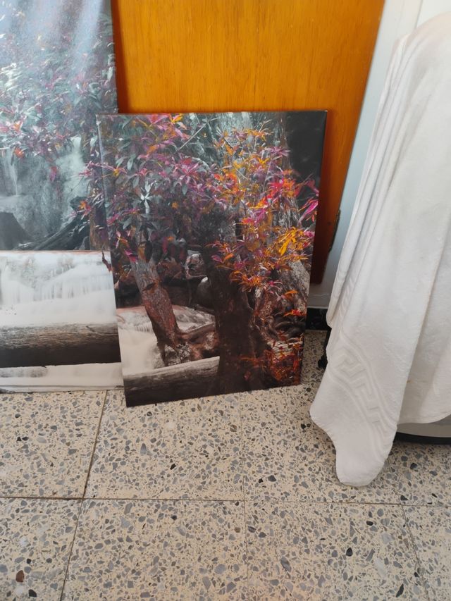 3 Cuadros cascada naturaleza