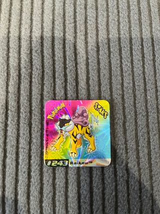 Raikou Holo Pokemon Staks #243