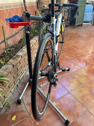 Bicicleta carretera Focus