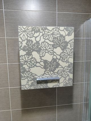 Muebles baño: Armario 