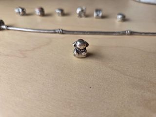 Charms Pandora 