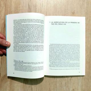 Libro AGRICULTURA Y GANADERÍA EN CIUDAD REAL, 1991