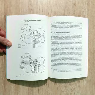 Libro AGRICULTURA Y GANADERÍA EN CIUDAD REAL, 1991