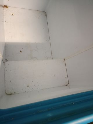 Nevera Helados Nestlé