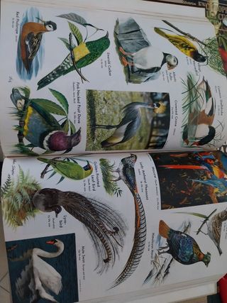 Enciclopedia world book usata. 