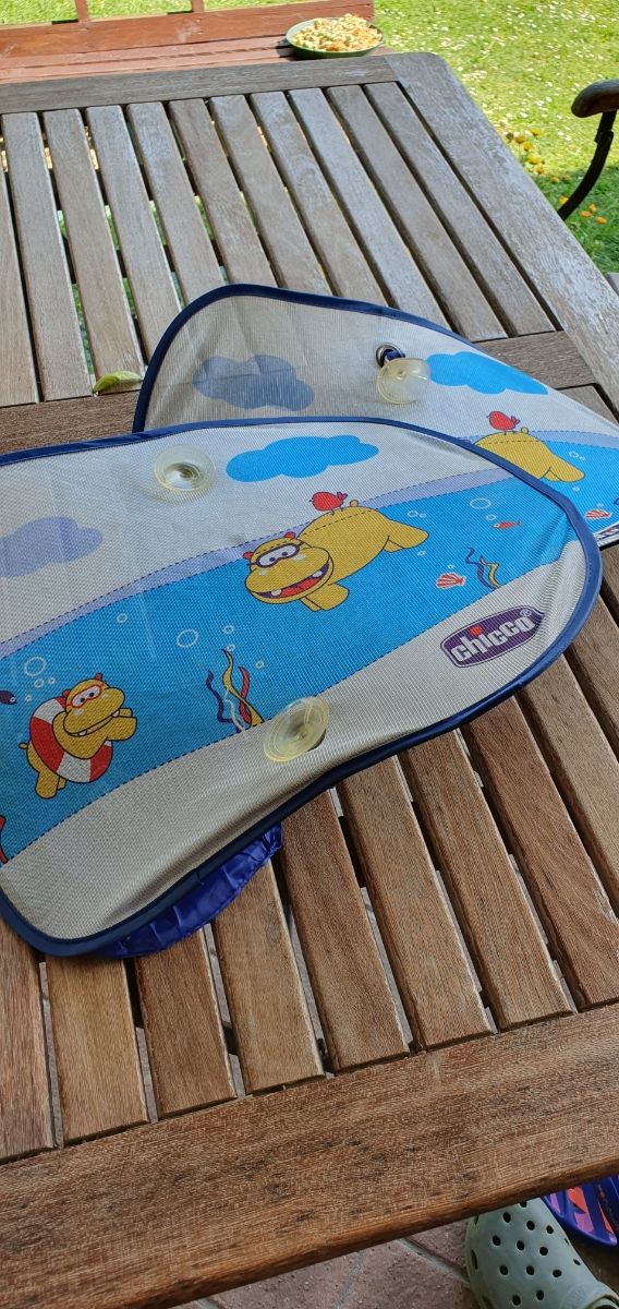 Coppia di ombreggianti per vetri auto