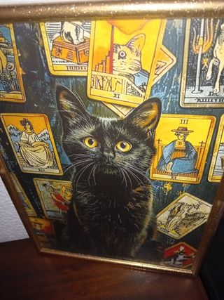 Tarocco Quadro Black Cat