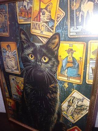 Tarocco Quadro Black Cat