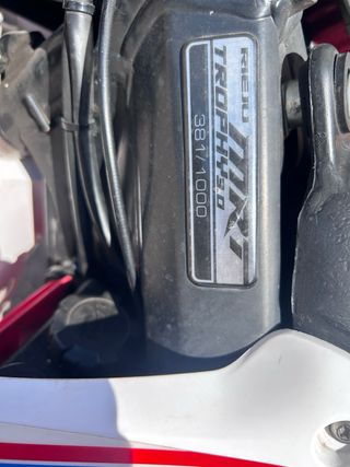 Motocross 49cc Rieju Mrt Troophy 381/1000