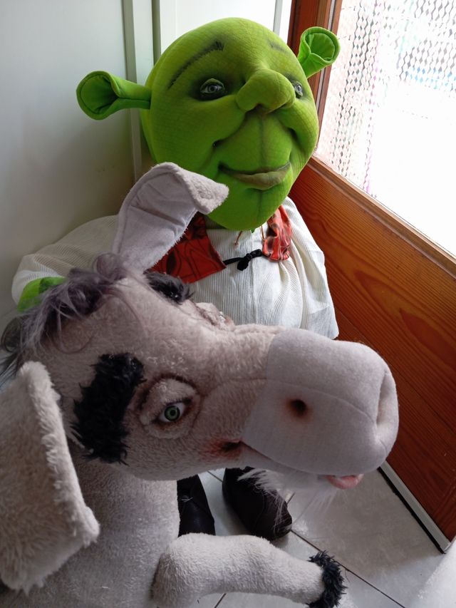 Muñecos Shrek & Burro grandes