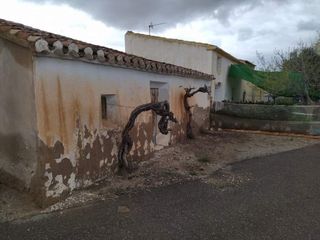 Parcela rústica con casa antigua