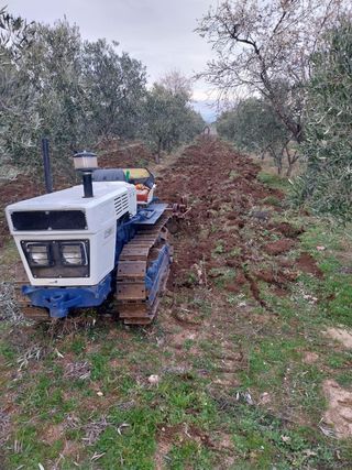 Tractor oruga  lamborghini