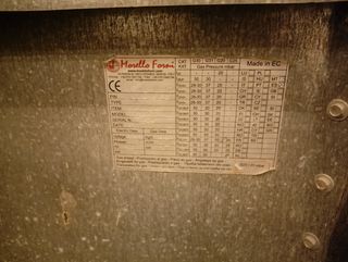 Horno pizza gas-leña profesional