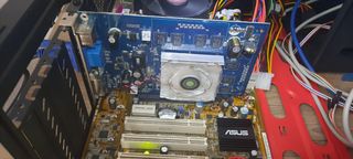 Tarjeta gráfica GeForce 8500 GT 256MB